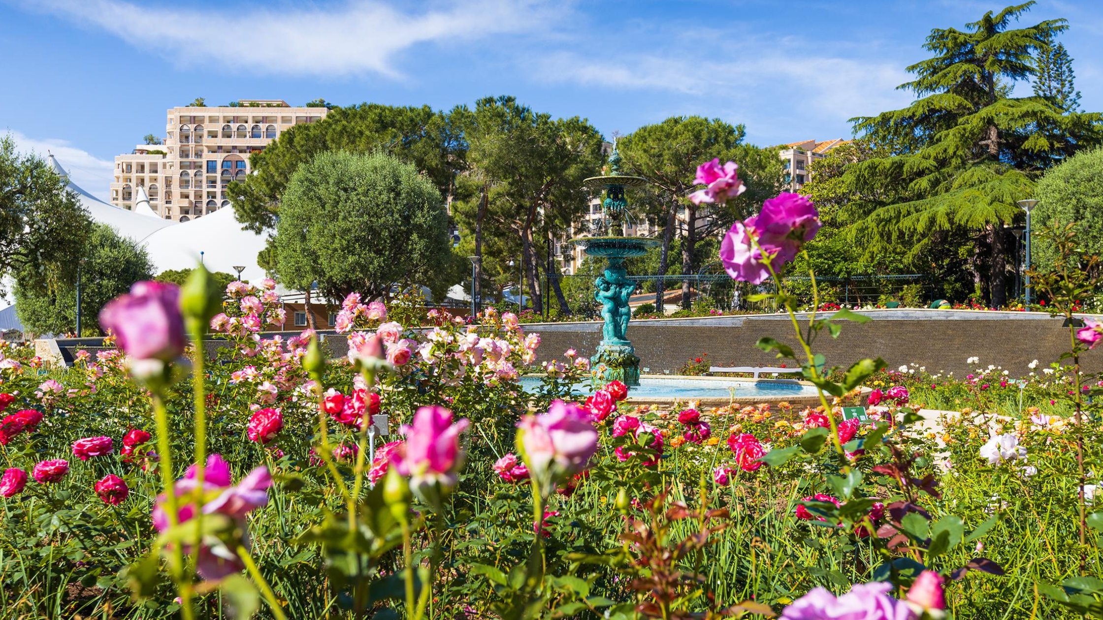 Printemps (mars à mai)
