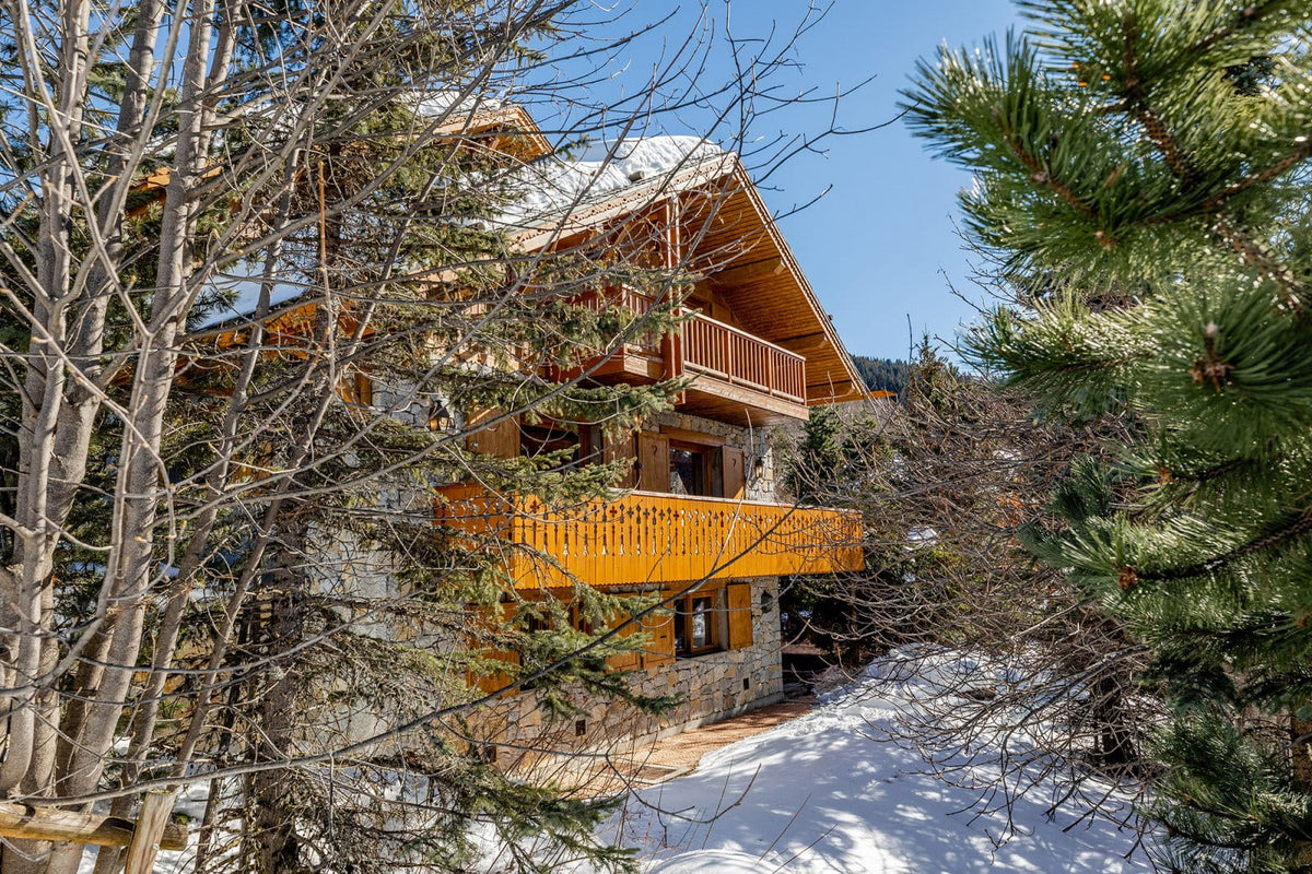 A rustic wooden chalet mountain cabin with snow-covered roof and snowy ground, surrounded by pine trees and bare winter trees under a clear blue sky.