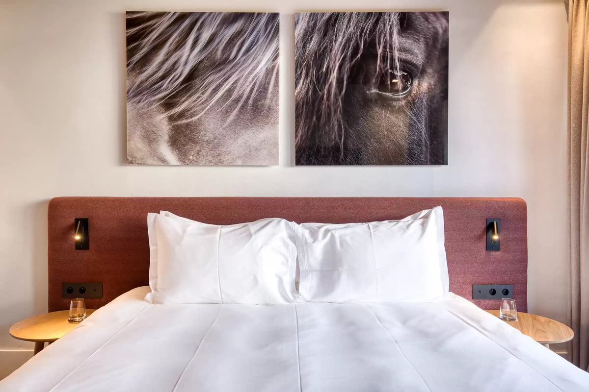 A modern bedroom setup featuring a bed with white bedding and pillows, a reddish-brown upholstered headboard with integrated wall lights, and two square canvas wall art prints above depicting a horse's mane and eye.