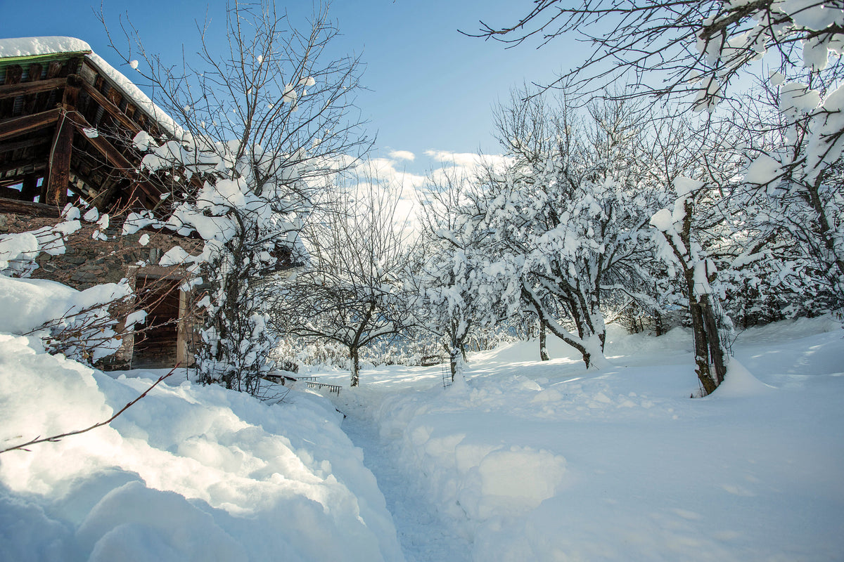 A snowy winter landscape with a snow-covered rustic wooden building on the left, bare trees heavily laden with snow, and a clear blue sky.