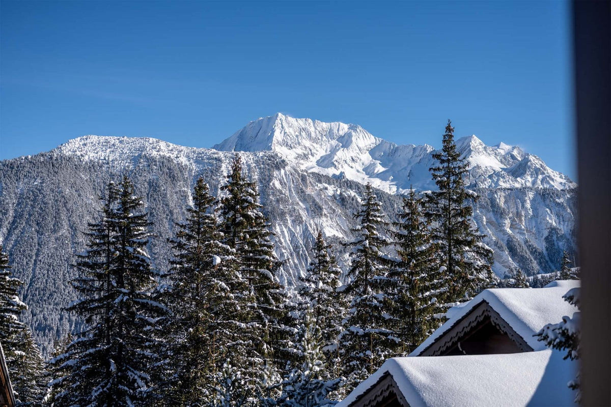 Snow-covered mountain peaks rise behind a dense forest of snow-dusted evergreen trees under a clear blue sky, with snow-laden rooflines in the foreground.