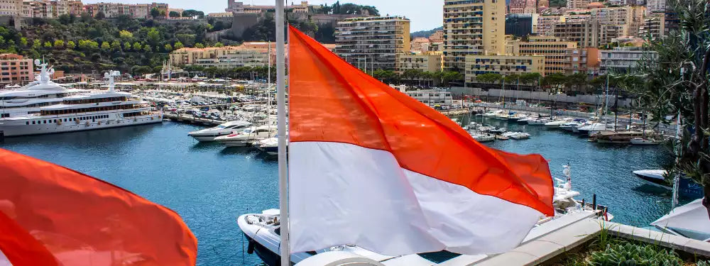 Flag of Monaco waving in front of a harbor with yachts and buildings in the background