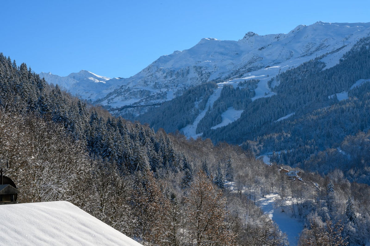 Snow-covered mountain peaks and forested slopes under a clear blue sky, with a snowy roof in the lower left foreground.