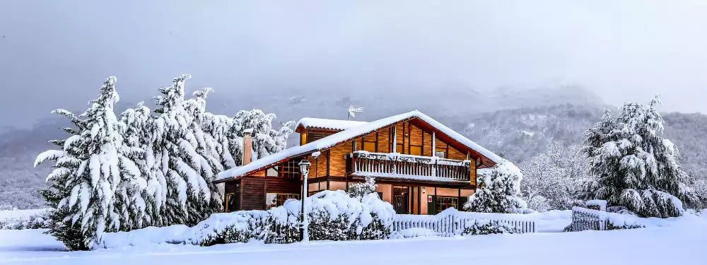 A snow-covered wooden chalet surrounded by frosty trees and distant mountains under a misty gray sky.