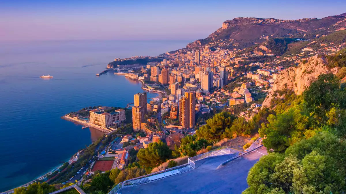 Cityscape on a hillside overlooking the ocean with buildings and greenery.
