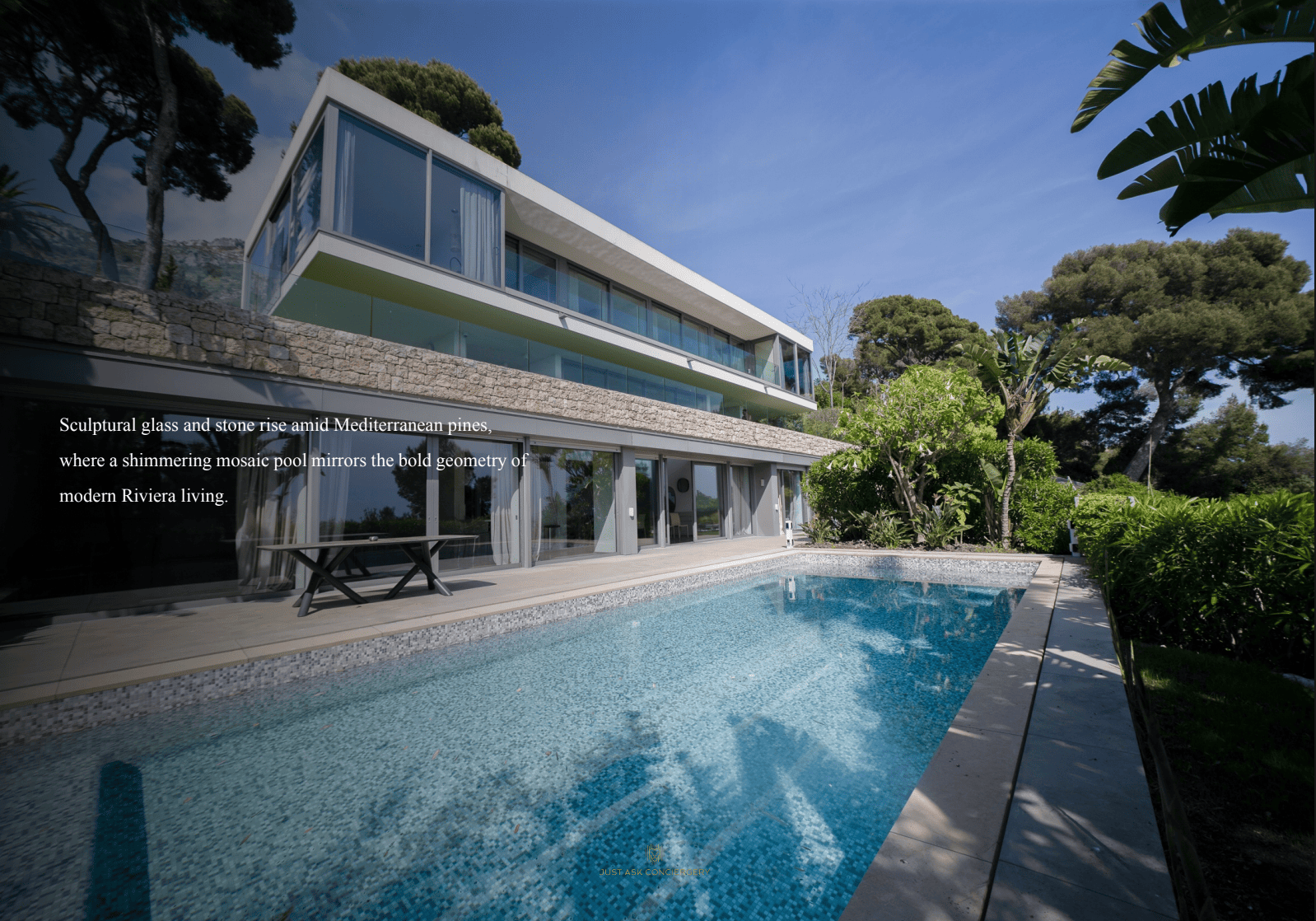Modern house with a pool and surrounding greenery